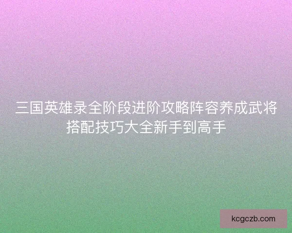 三国英雄录全阶段进阶攻略阵容养成武将搭配技巧大全新手到高手
